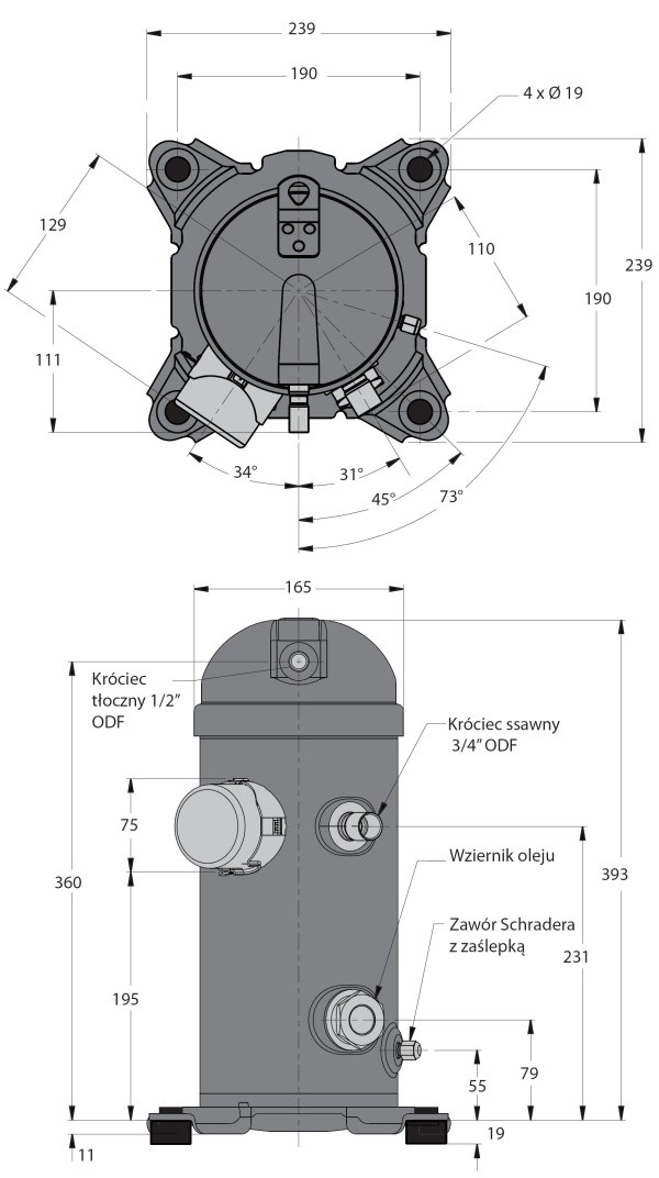 mlz1 2 - MLZ019